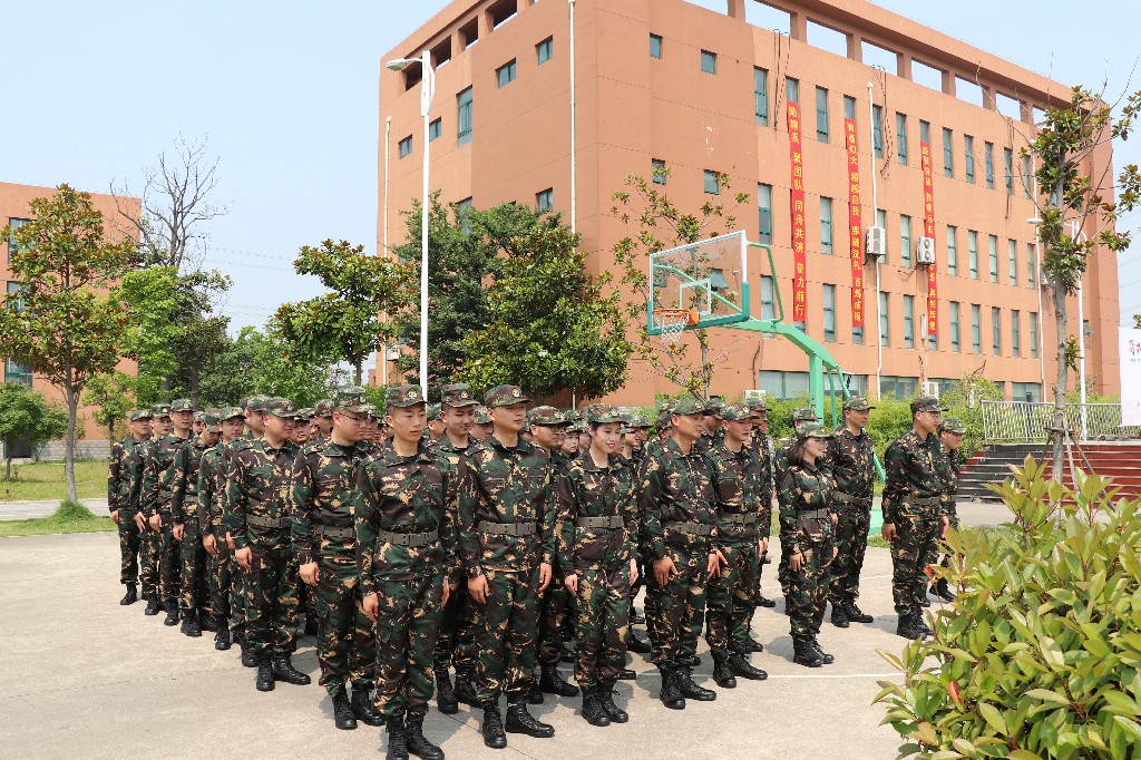 IMG_2242.jpg